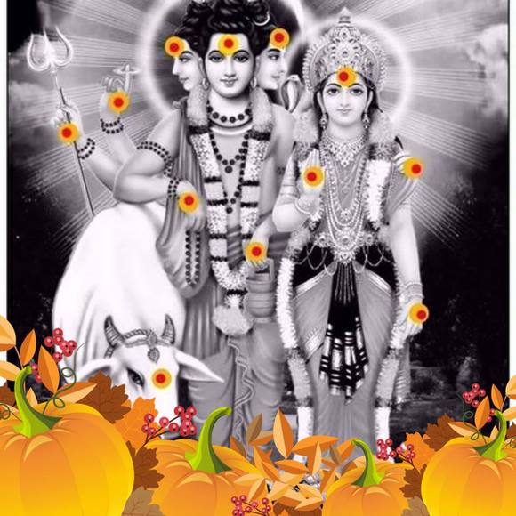 Meet your Posher, Saritha - Picture 1 of 1